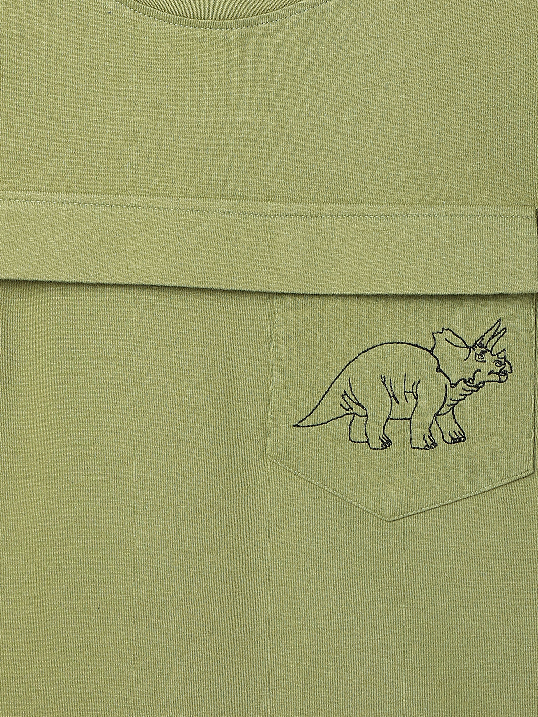 Boys Green Regular Fit Round Neck Cotton T-shirt