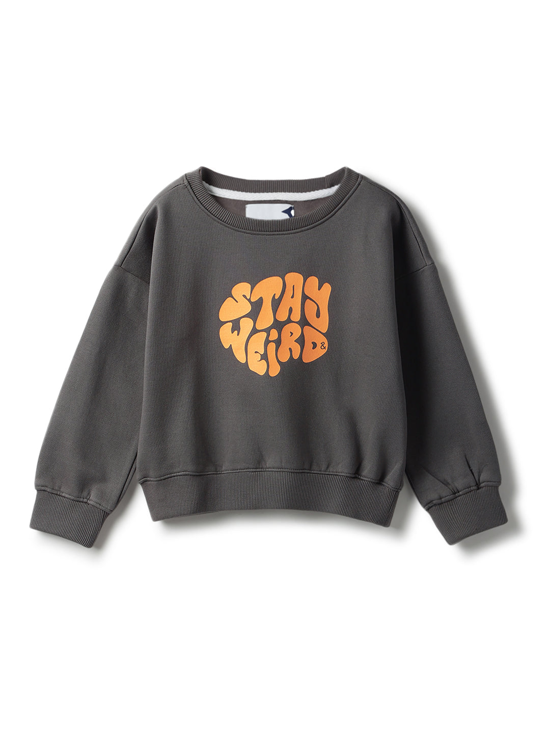 Boys Grey Printed Sweatshirt