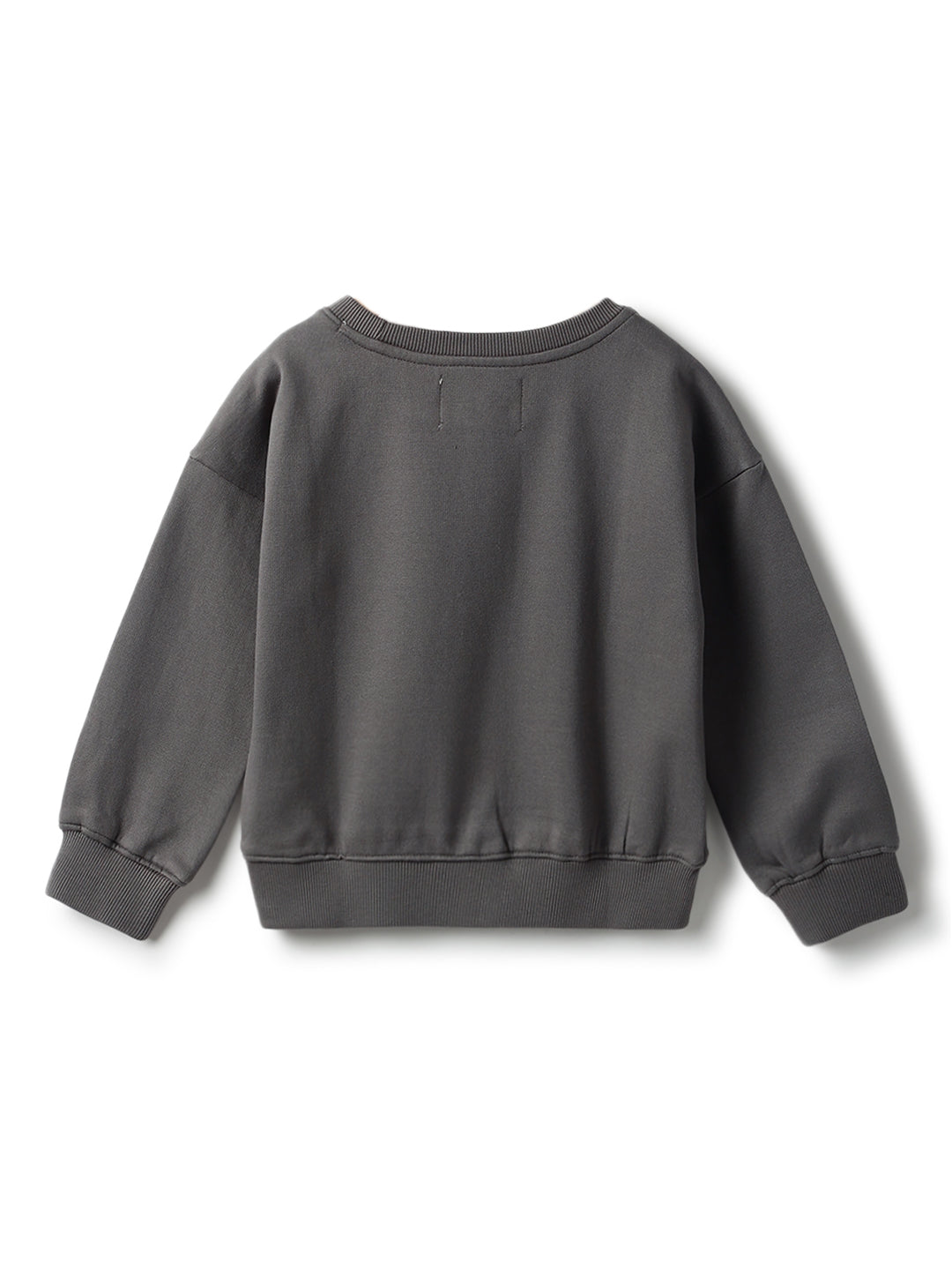 Boys Grey Printed Sweatshirt