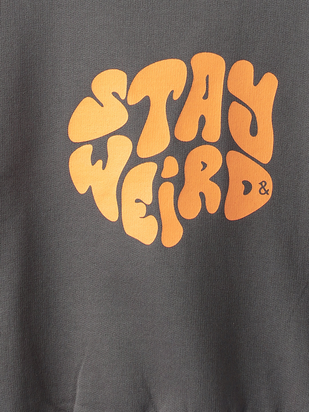 Boys Grey Printed Sweatshirt