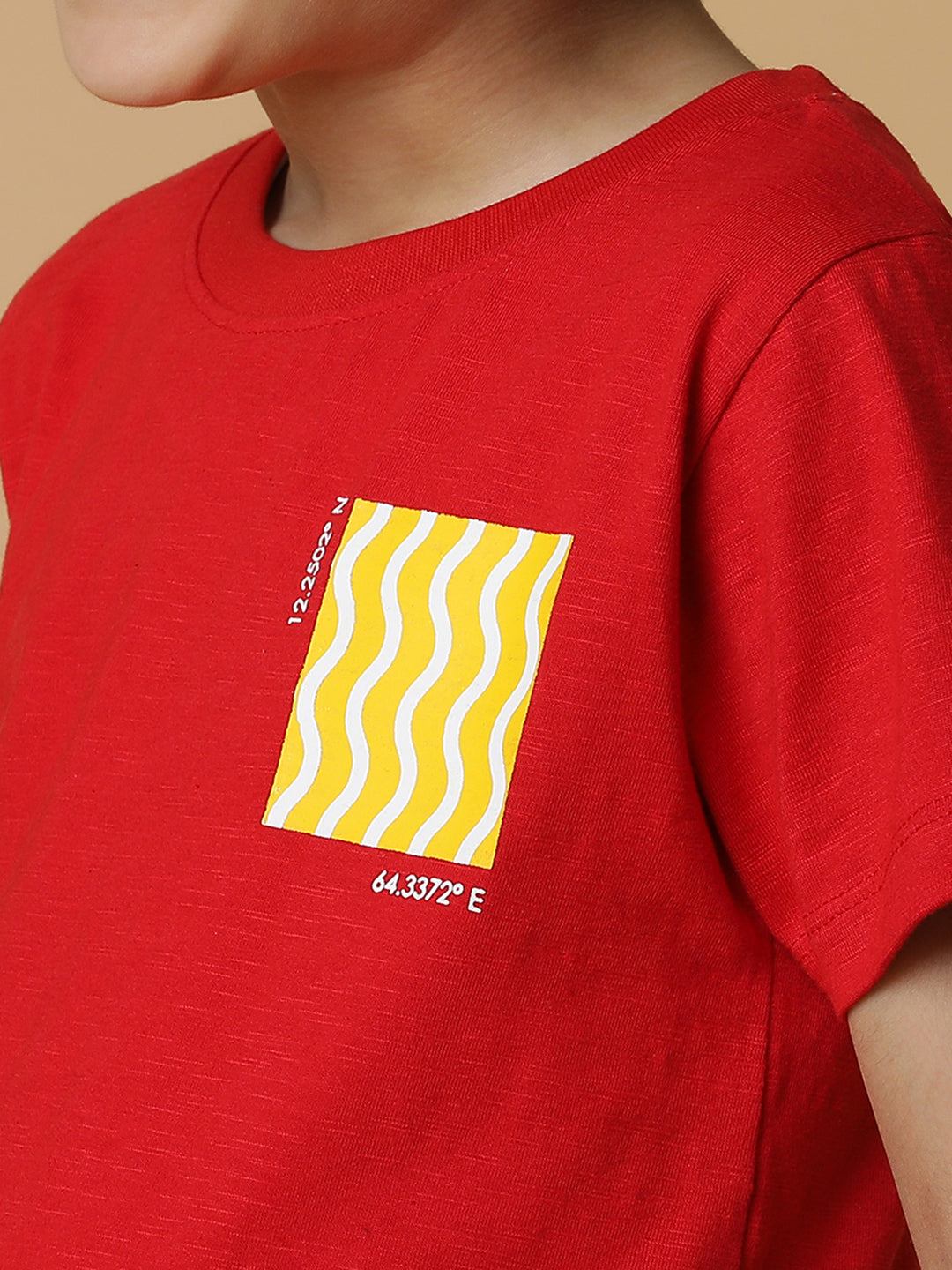 Boys Red Printed T-Shirt