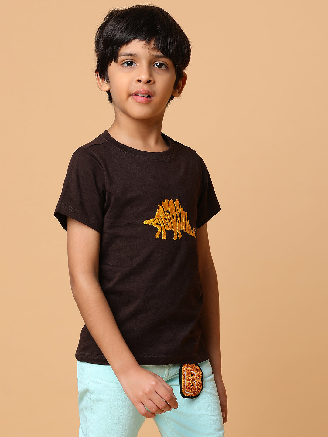 Boys Brown Embroidery Cotton T-shirt
