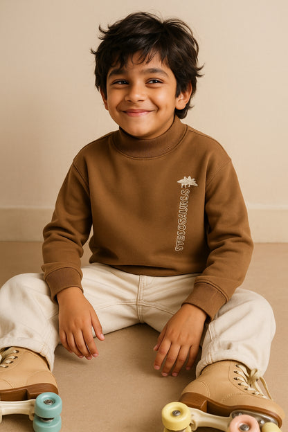 Boys Browan Printed Cotton Sweatshirt