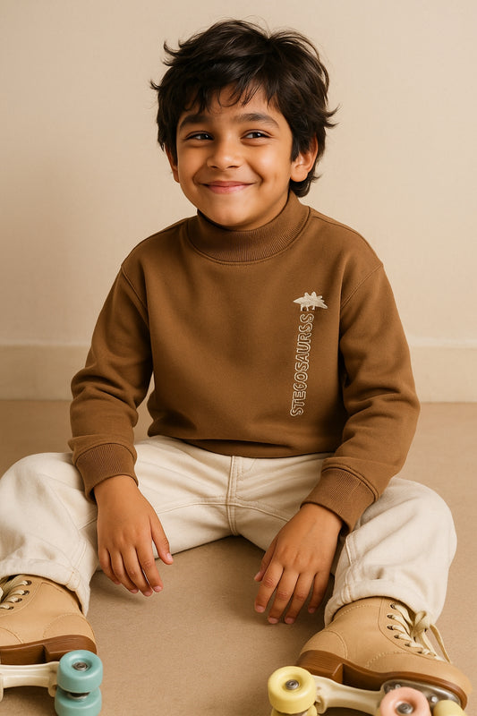 Boys Browan Printed Cotton Sweatshirt