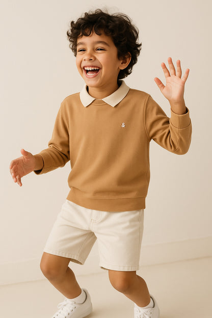 Boys Cotton Brown Solid Polo T-Shirt