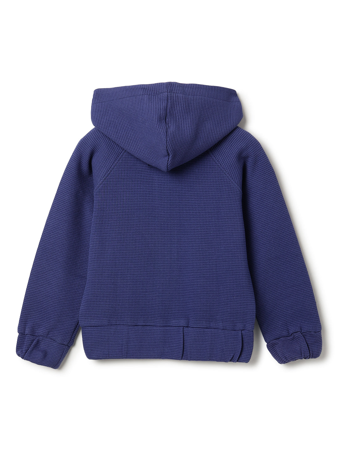 Boys Royal Blue Lycra Solid Sweatshirt