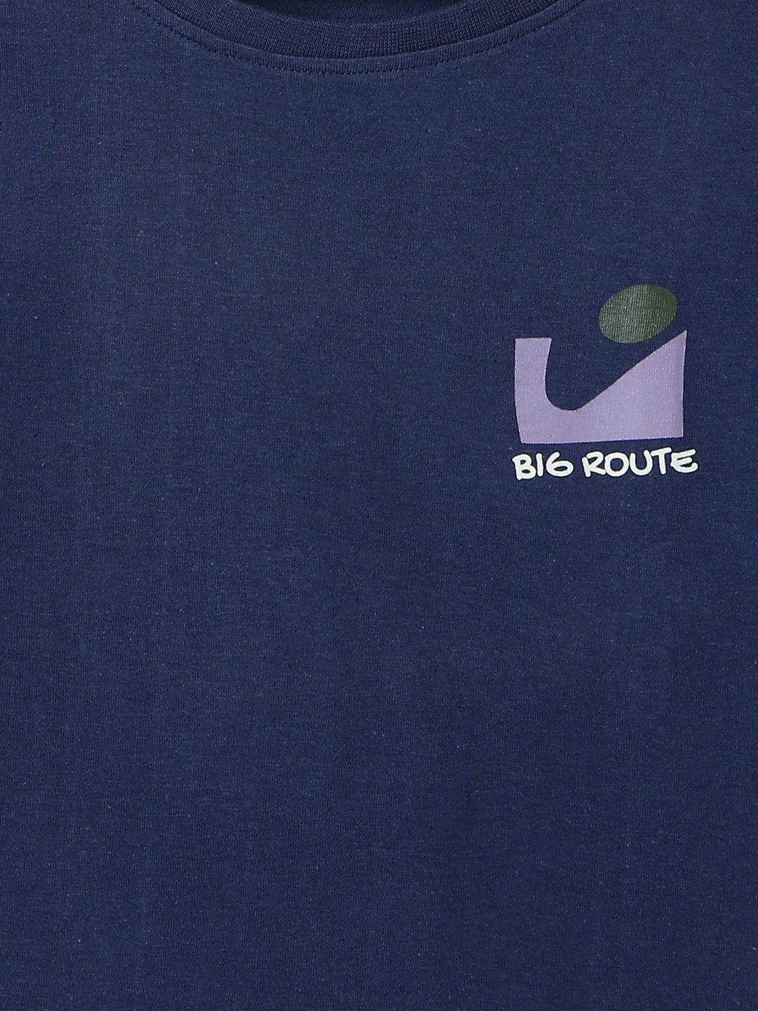 Boys Navy Blue Cotton Regular Printed T-shirt