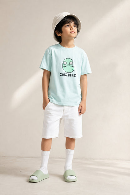 Boys Sky Blue Cotton Printed T-shirt