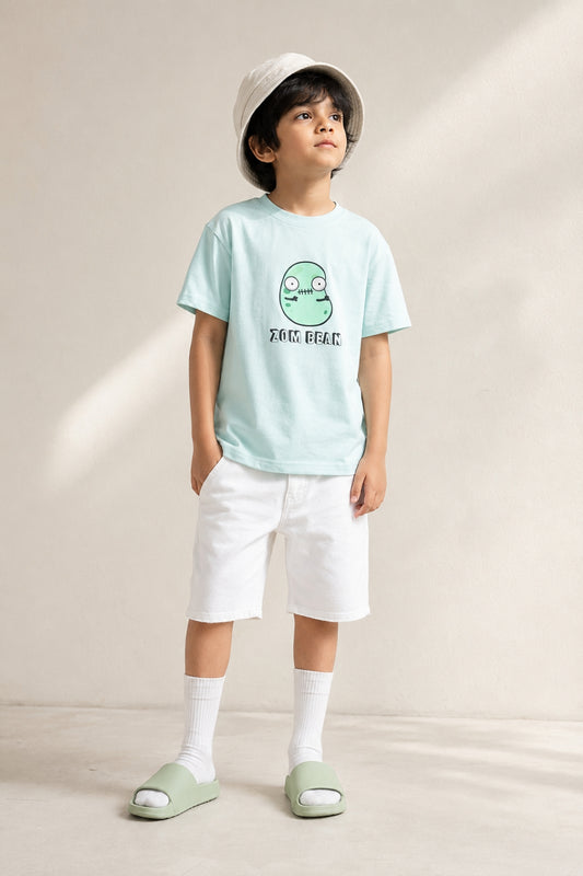 Boys Sky Blue Cotton Printed T-shirt