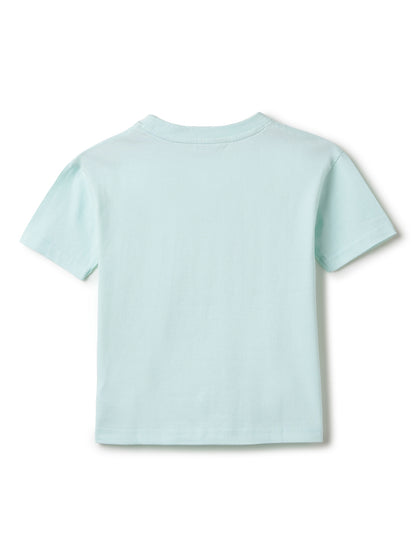 Boys Sky Blue Cotton Printed T-shirt