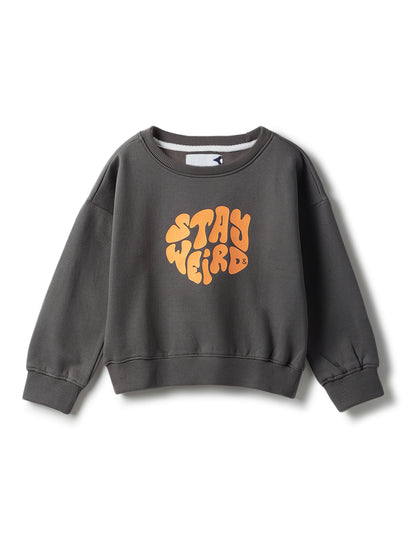 Boys Grey Printed Sweatshirt