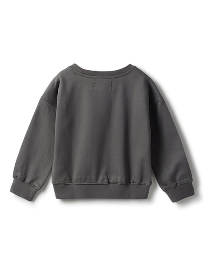 Boys Grey Printed Sweatshirt