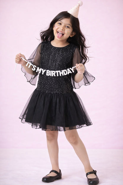 Black Regular Fit Sequins Dress