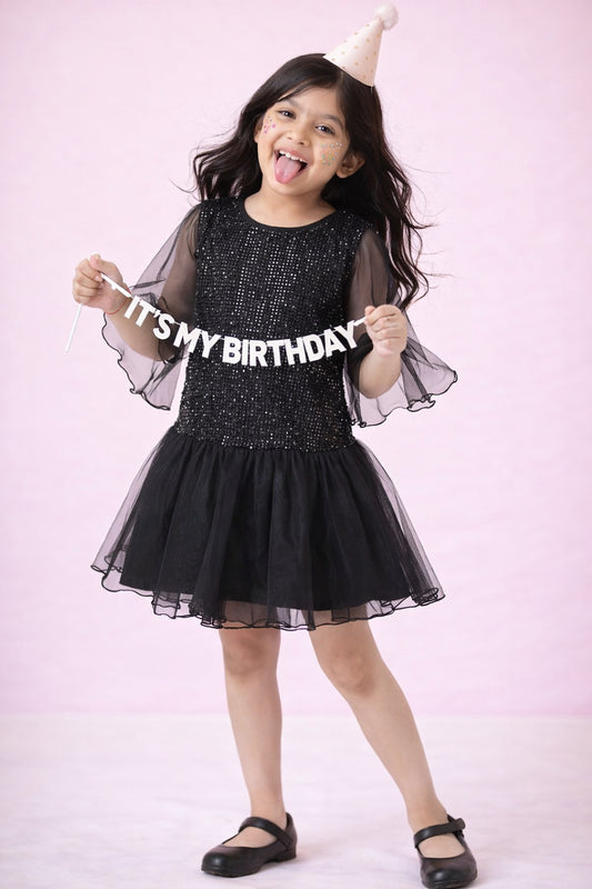 Black Regular Fit Sequins Dress