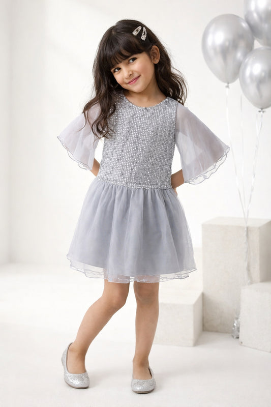Grey Regular Fit Sequins Dress