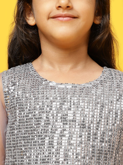 Grey Regular Fit Sequins Dress