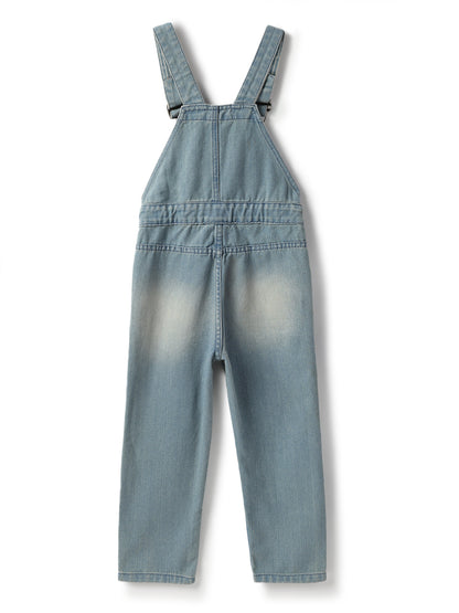 Boys Cotton Poly Blue Printed Tapered Fit Dungaree