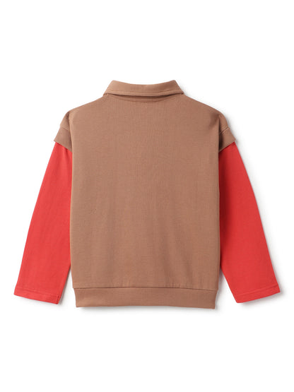 Boys Brown Polo Solid  T-Shirt