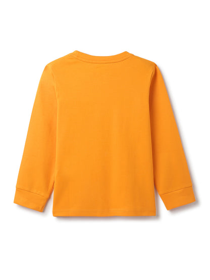 Boys Orange Cotton Embroidery T-Shirt
