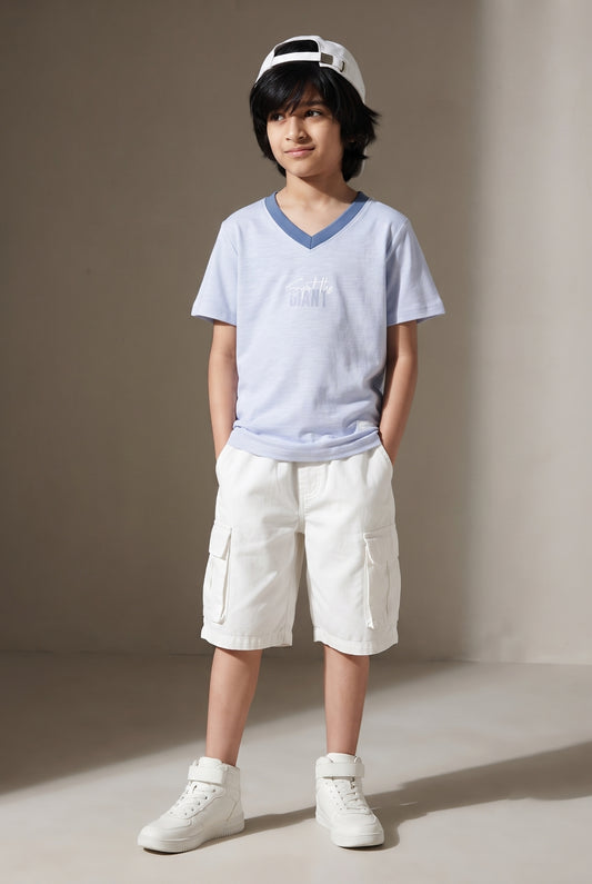 Boys Cotton Sky Blue Printed V Neck T-Shirt