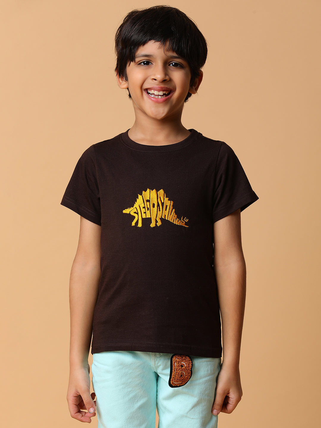 Boys Brown Embroidery Cotton T-shirt
