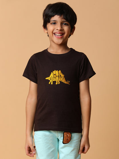 Boys Brown Embroidery Cotton T-shirt