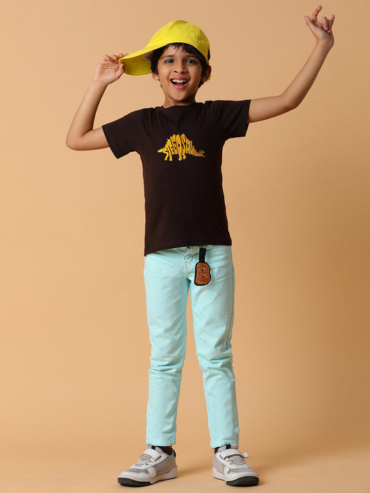 Boys Brown Embroidery Cotton T-shirt