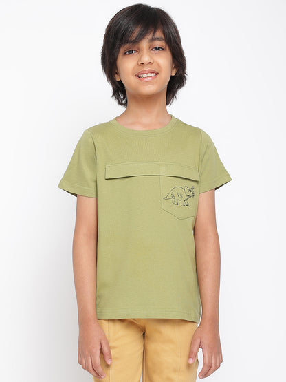 Boys Green Regular Fit Round Neck Cotton T-shirt